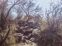 -沈阳辉山风景区