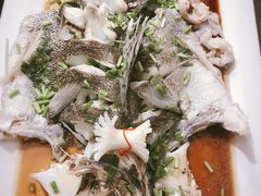 -浩运·海鲜青岛菜·海胆水饺(石老人店)