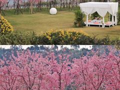 -福建鲤鱼洲酒店