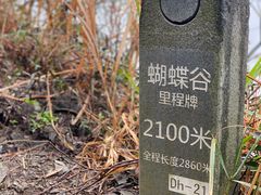 -梧桐山风景名胜区