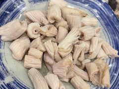 羊肚仁-金生隆(六铺炕店)