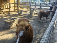 -北京市海淀外国语实验学校