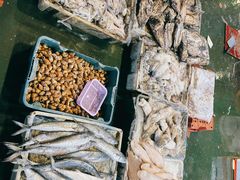 -海峡水产品交易中心(海鲜交易区)