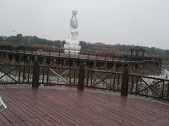 -荷塘月色湿地公园·向阳花洲