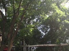-武汉大学中南医院(总院区)