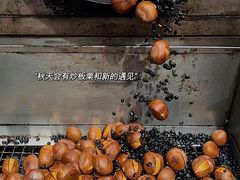 -山王坪喀斯特国家生态公园