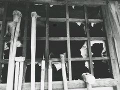 -三岔涧农家乐