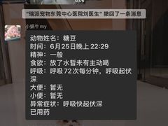 -东莞宠友24H宠物中心医院·转诊夜诊·异宠(新河北路院)