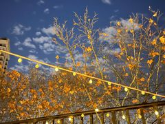 -HUATA 'Holiday Plan 花榻