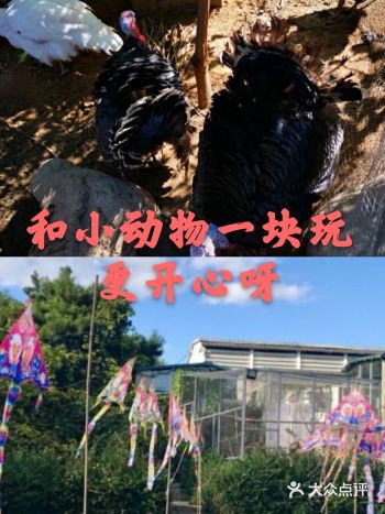 我们小朋友这么长的假期会不会在家里面待的有点无聊呢