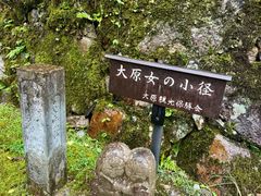 -三千院