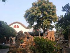 -南京中国近代史遗址博物馆(南京总统府)