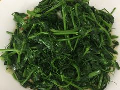 -山丹皇家马场