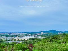 -白水寺森林公园