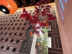 -真定郝家排骨(正定县总店)