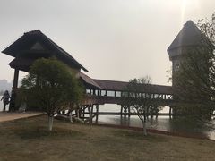 -九龙湖公园