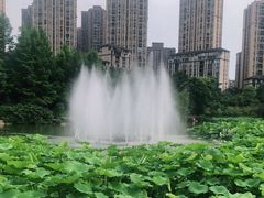 -龙头寺公园