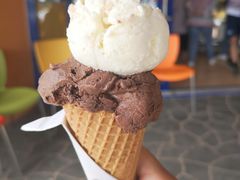 -Dooley's Premium Ice Cream