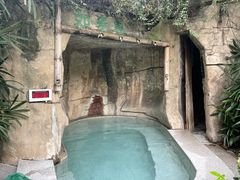 -天赐温泉