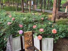 -洛阳市隋唐城遗址植物园