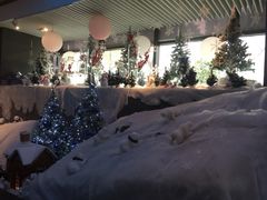 -上海外滩英迪格酒店