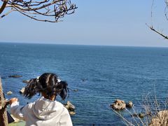 -养马岛旅游度假区