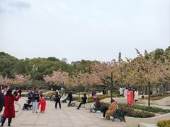 -新江湾城公园