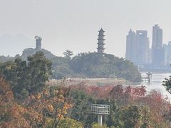 -江心屿景区