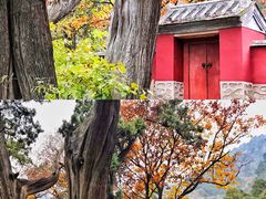 -北京上方山国家森林公园