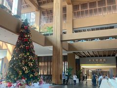 -海南椰子鸡餐厅(三亚湾红树林店)