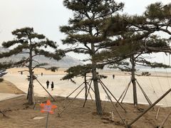 -在海一方公园