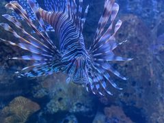 -左海海底世界