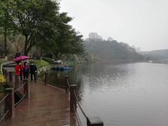 -重庆彩云湖湿地公园