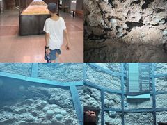 -中国西峡恐龙遗迹园
