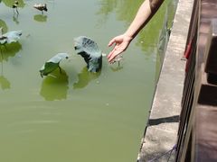 -厦门悦华酒店