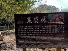 -东湖落雁景区