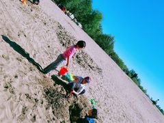 -东郊湿地公园