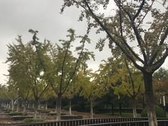 -瀛洲公园