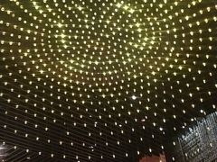 -君悦酒店·1881·北京烤鸭