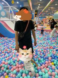 -胜利乐园(胜利购物广场店)