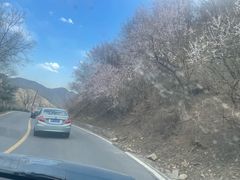 -妙峰山风景名胜区