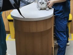 -联合动物医院(光谷诊疗中心)