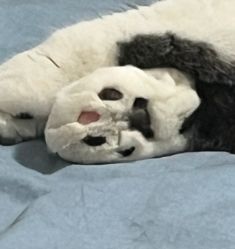 -玉笙美肤·专业脱毛中心