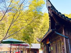 -宁波浙东大竹海景区