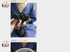 -半岛宠物医院24小时(科华中路店)