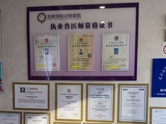 -宠爱国际动物医院·疑难骨科·心肾内科·皮肤科(太阳宫店)