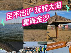 -碧海金沙