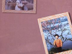 -大连体育中心体育馆