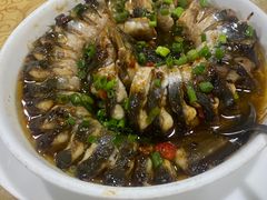 -水上鱼当家