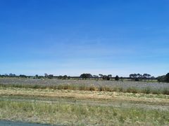 -威勒比开放式动物园